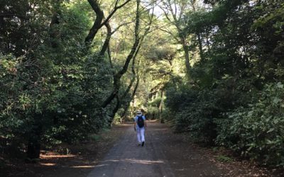 For when you need your creative juices to flow, baby, flow